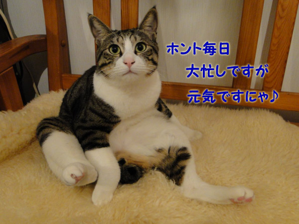 大忙しでも元気