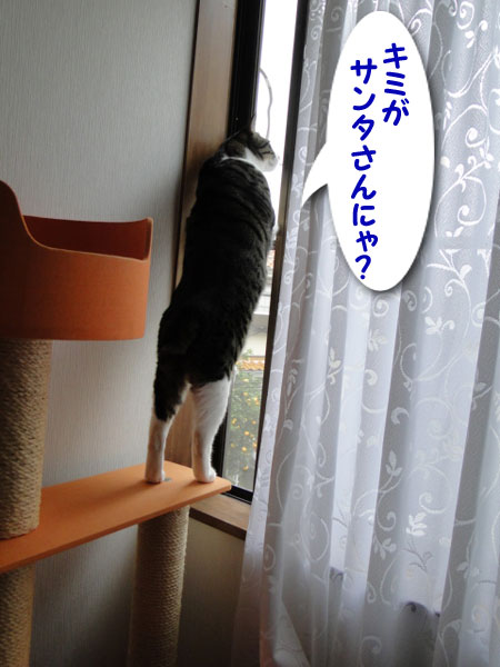 キミがサンタさん？