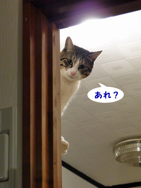 あれ？
