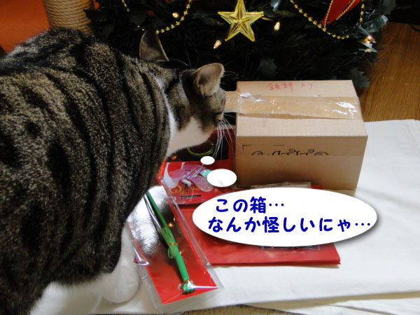 この箱、怪しい・・・