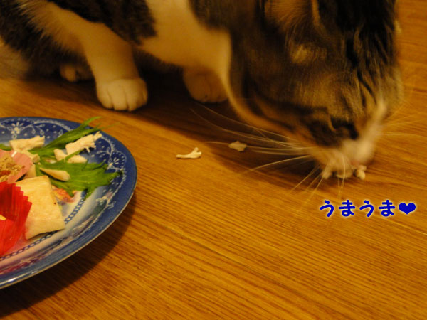 うまうま?
