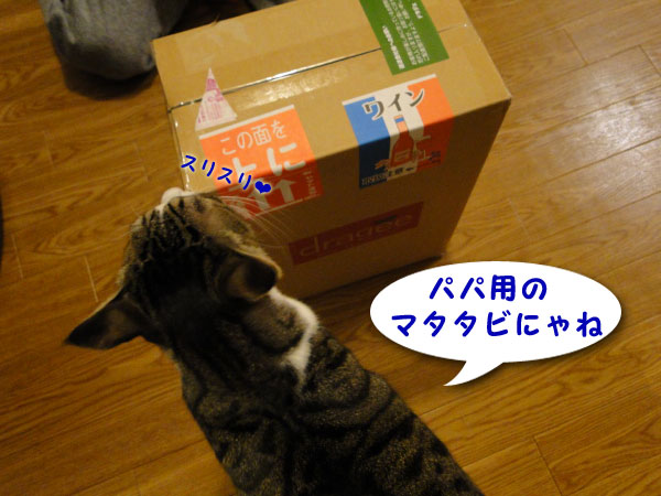 ワイン到着
