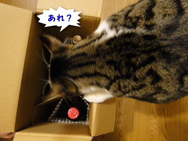 あれ?