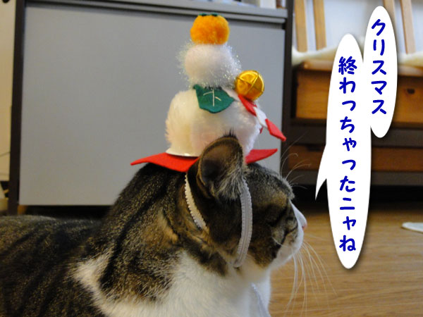 クリスマス終わっちゃった・・・