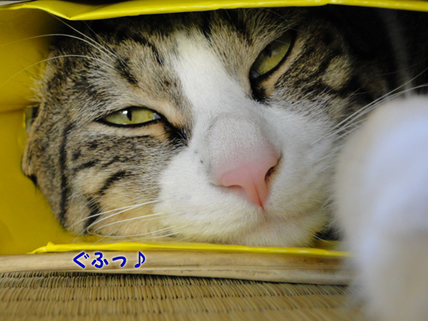 ぐふっ♪