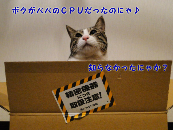 ボクがパパのCPU だったのにゃ♪