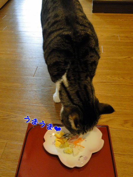 うま♪うま♪