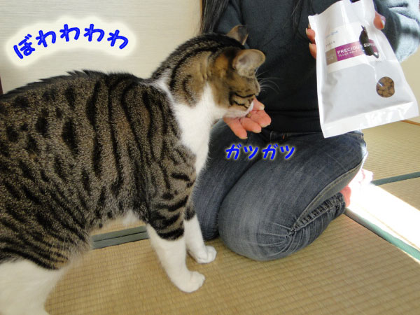 ぼわわわわ・・・