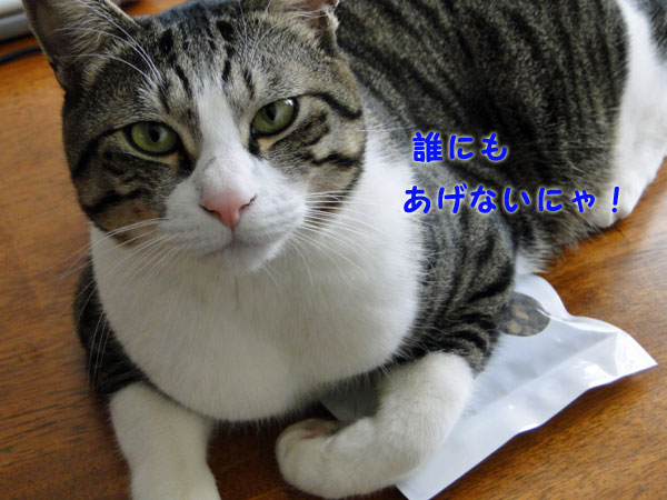誰にもあげないにゃ!