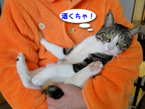パパ、酒臭い・・・