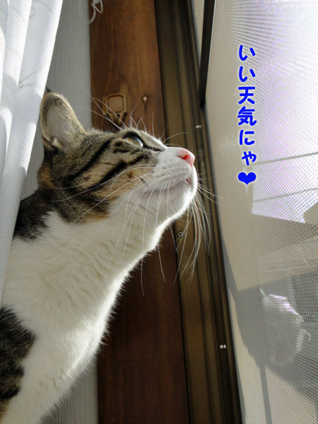 いいお天気~♪