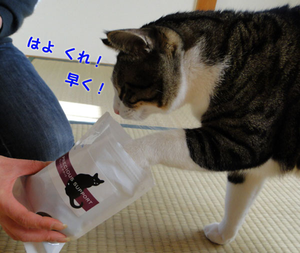 早くくれ!