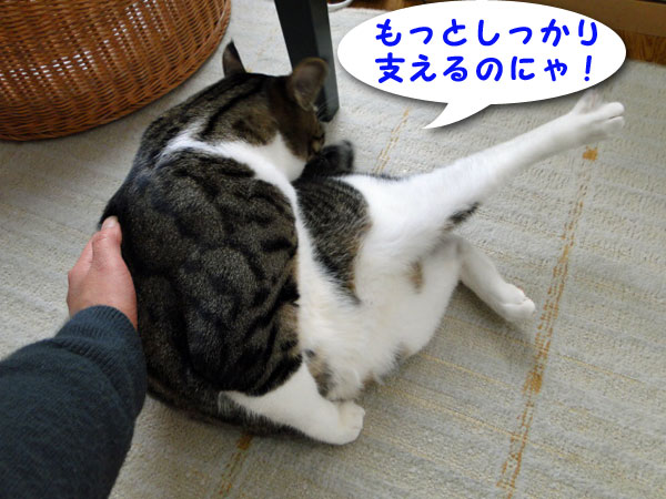 毛繕い