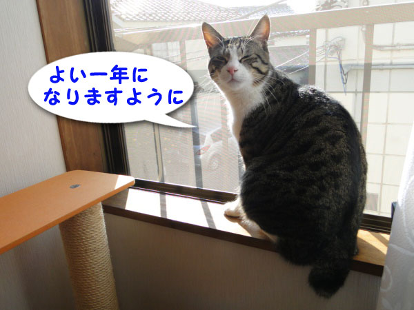 いい一年になりますように☆