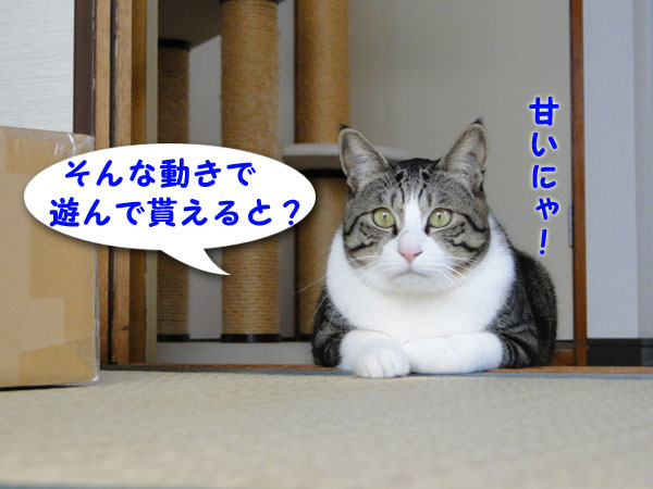 そんな動きで遊んで貰えると?