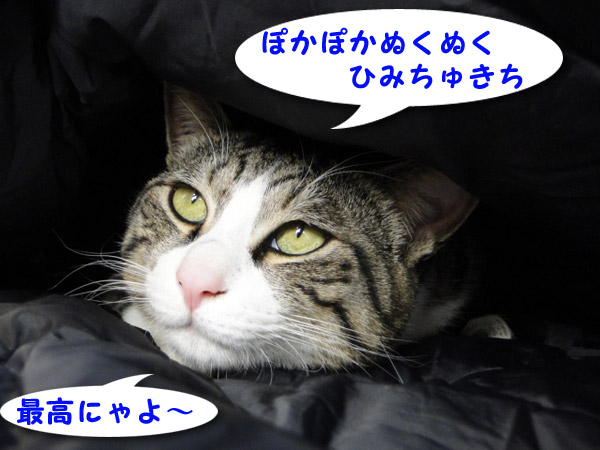 ぽかぽかぬくぬくにゃ♪