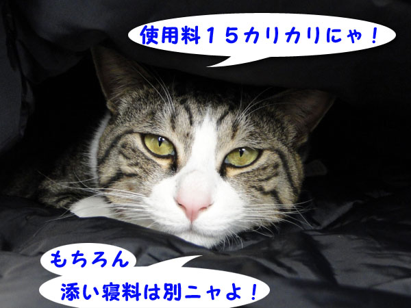 使用料は・・・