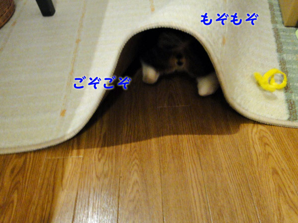 もぞもぞ