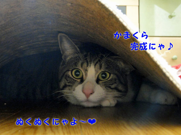 かまくら ぬくぬくにゃ♪