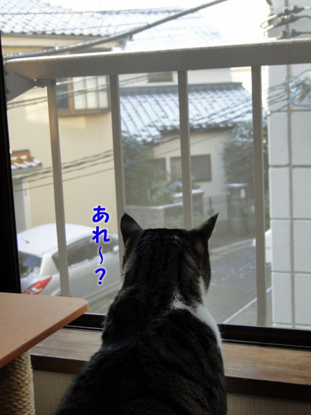 あれ~?