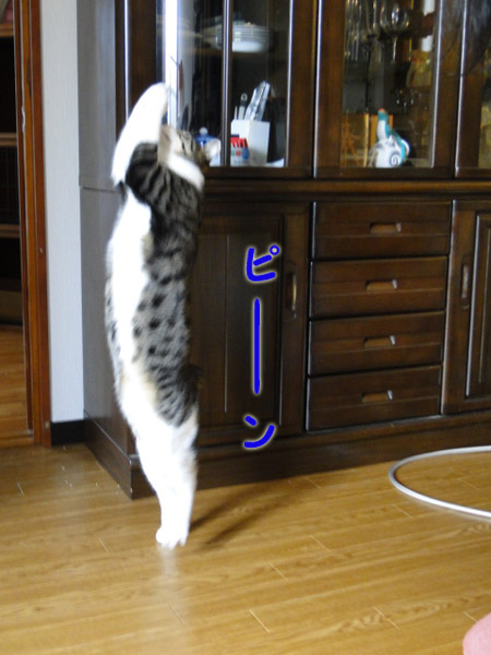 ピーンッ!