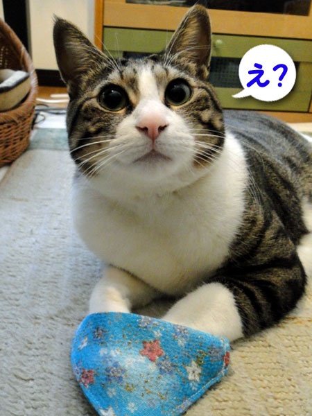 え?