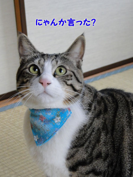 何か言った?
