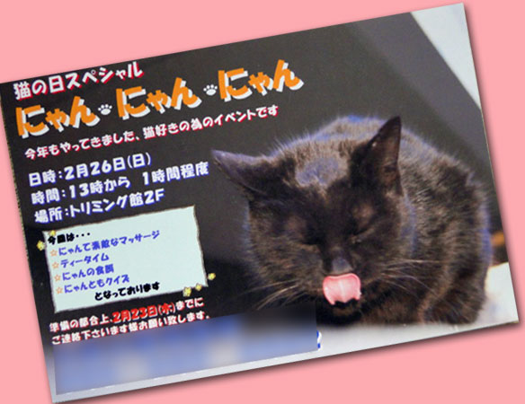 はがき