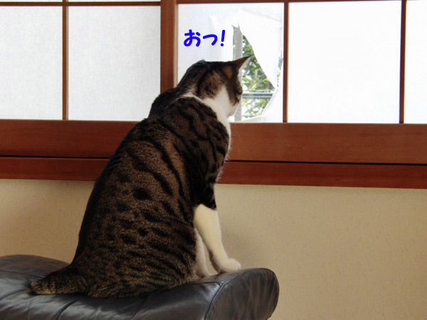 おっ!