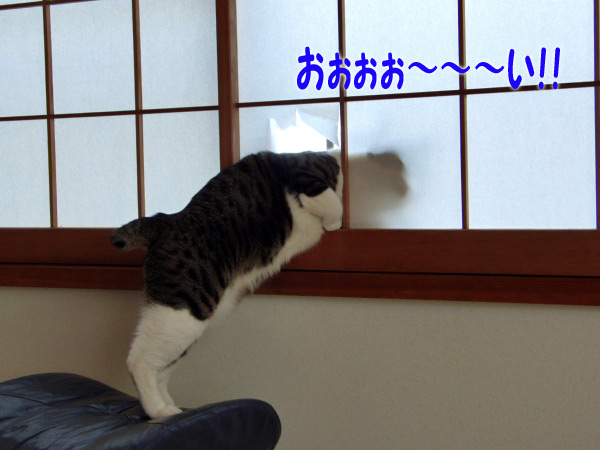 お---い!