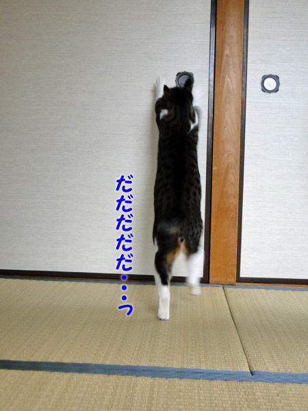 だだだ・・・