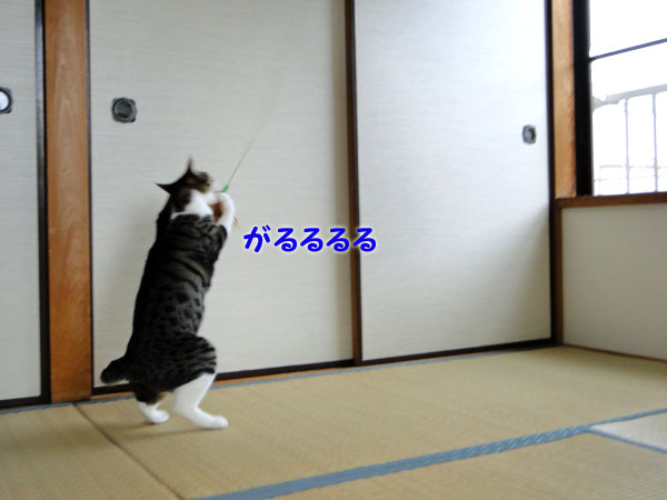 がるるる