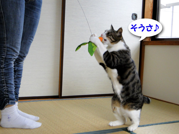 そうさ♪