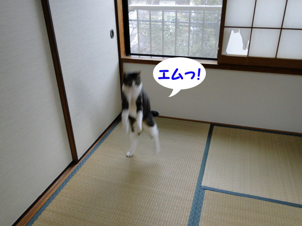 エム