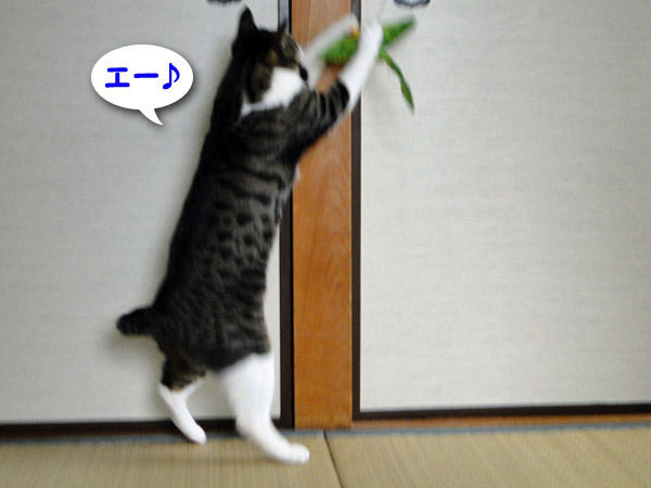 エー