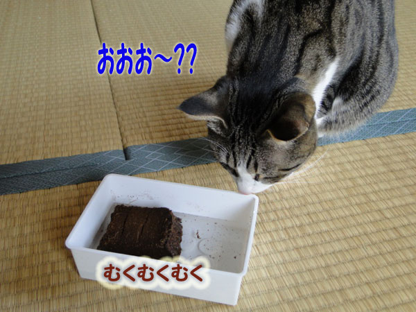 おお~?