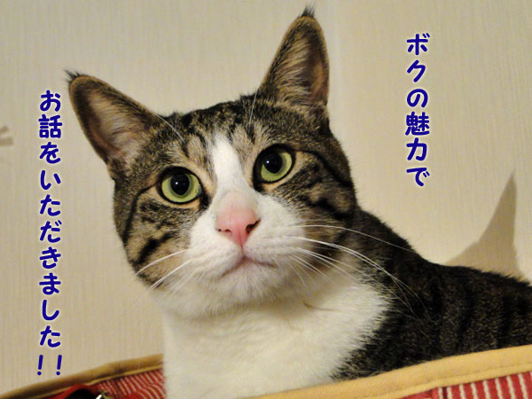 ボクの魅力でお話を頂きました