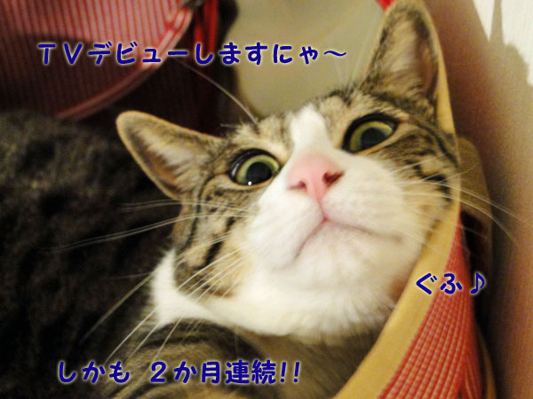 TVデビュー♪ しかも2カ月連続♪