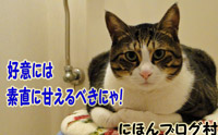 にほんブログ村猫ブログ