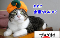 にほんブログ村 猫ブログへ