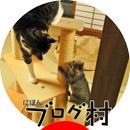 にほんブログ村 猫ブログへ