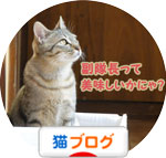 にほんブログ村 猫ブログへ