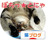にほんブログ村 猫ブログへ