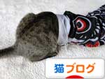 にほんブログ村 猫ブログへ