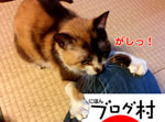 にほんブログ村 猫ブログへ