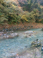 川が綺麗だねぇ