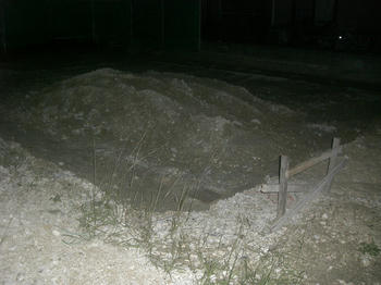 8de9156c.jpg