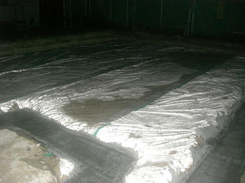 CIMG2106.jpg