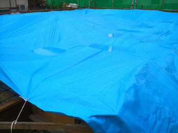 SN3N0150.jpg