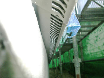 CIMG3078.jpg